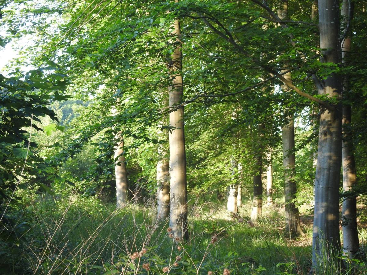 Aa Strand Camping Ebberup Екстер'єр фото